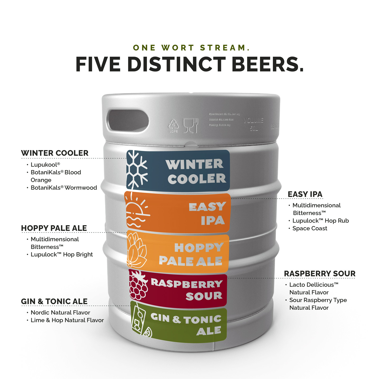 Graphic showing five beers from one wort stream