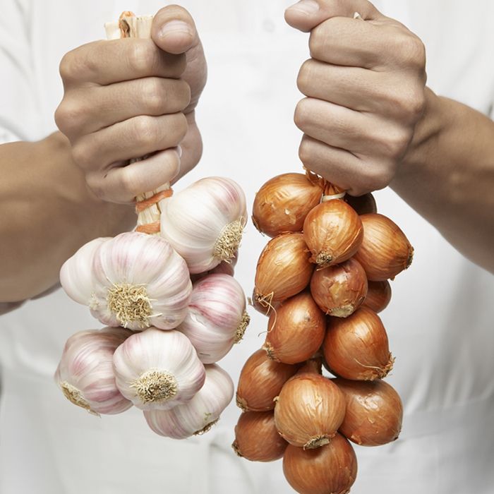 torso of person wearing chef coat holding bunches of onions and garlic