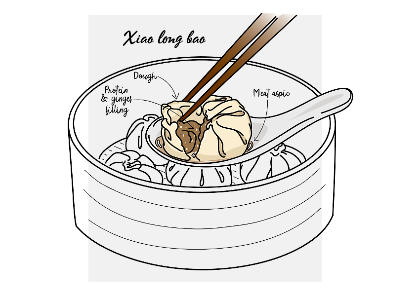 Xiao long bao (soup dumplings) illustration