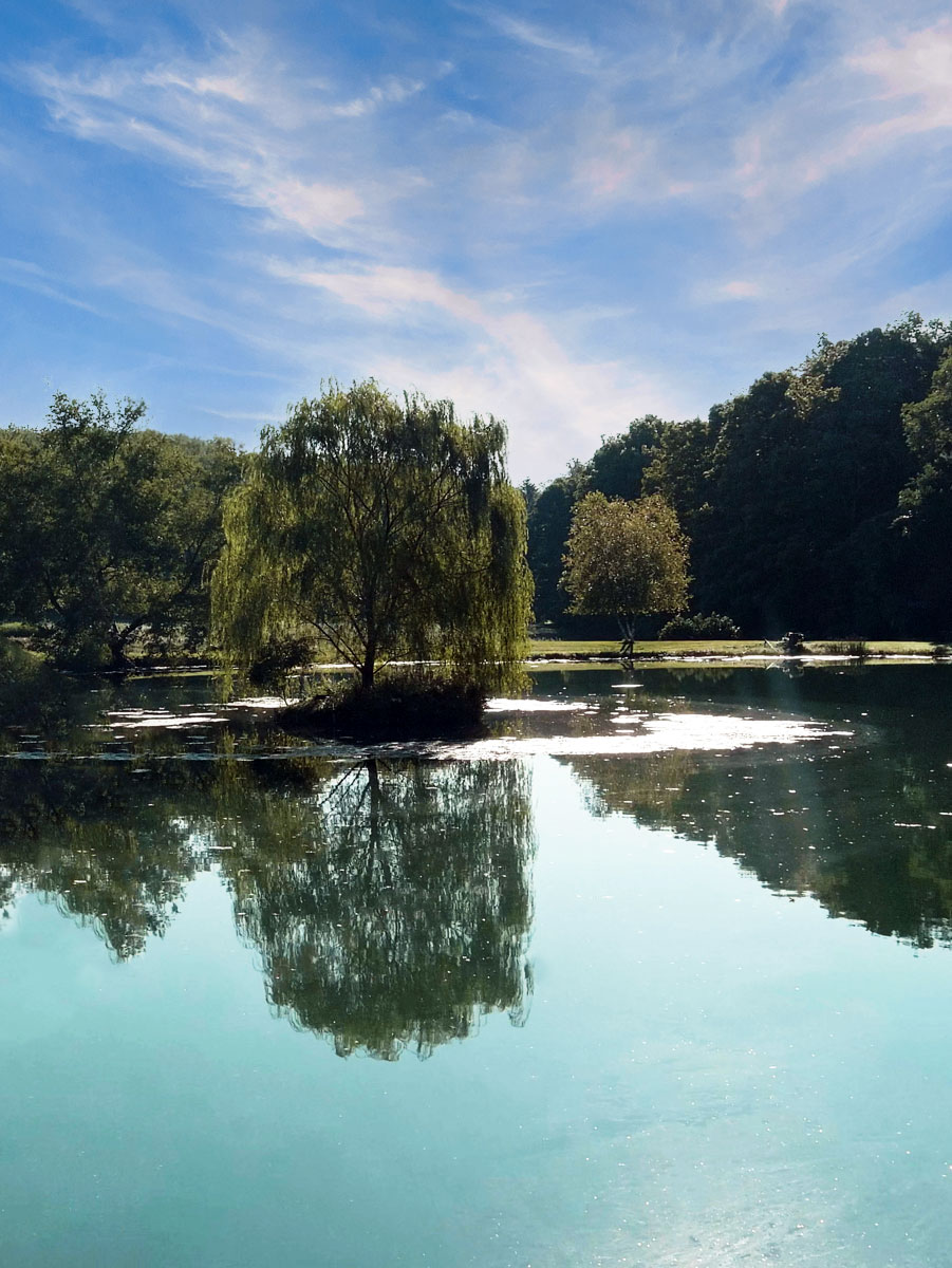 Kalsec's largest pond in Kalamazoo